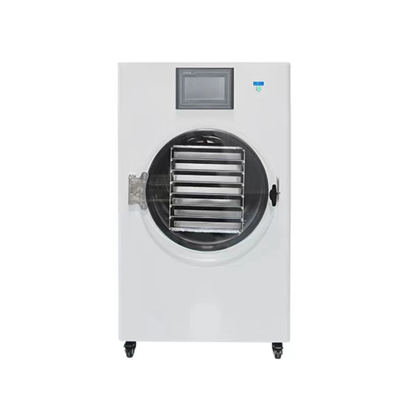 Household Small Freeze Dryer